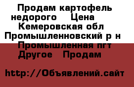 Продам картофель недорого  › Цена ­ 50 - Кемеровская обл., Промышленновский р-н, Промышленная пгт Другое » Продам   